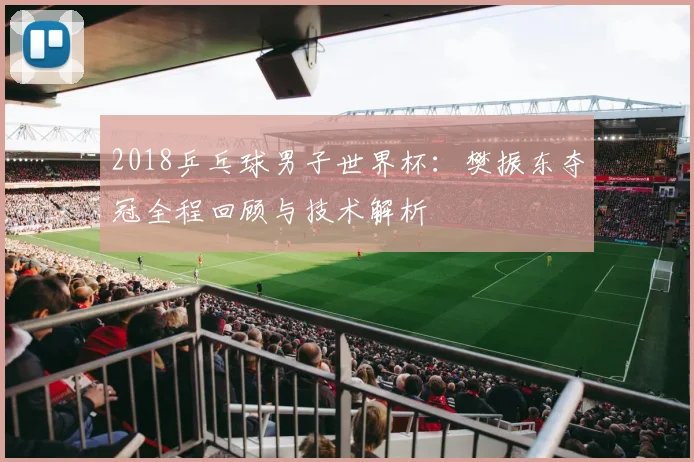 2018乒乓球男子世界杯：樊振东夺冠全程回顾与技术解析