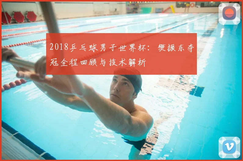 2018乒乓球男子世界杯：樊振东夺冠全程回顾与技术解析