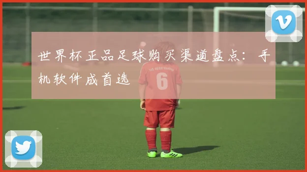 世界杯正品足球购买渠道盘点：手机软件成首选