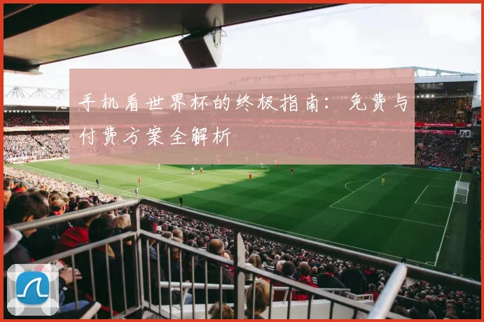 手机看世界杯的终极指南:免费与付费方案全解析