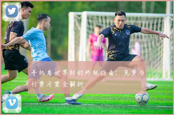 手机看世界杯的终极指南:免费与付费方案全解析