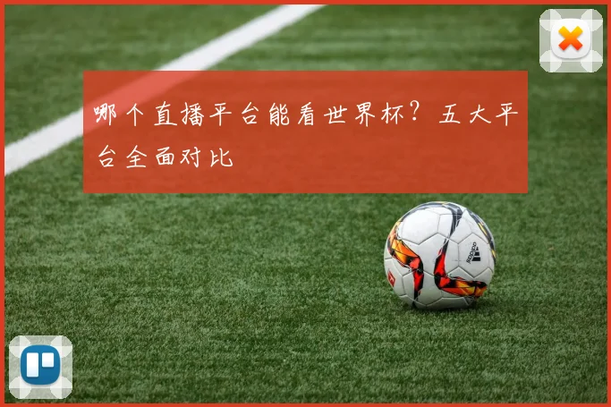 哪个直播平台能看世界杯？五大平台全面对比